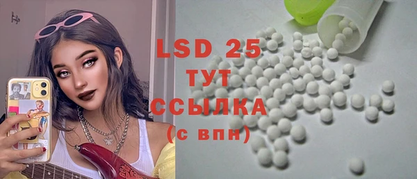 стаф Богданович