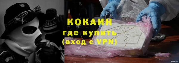 стаф Богданович