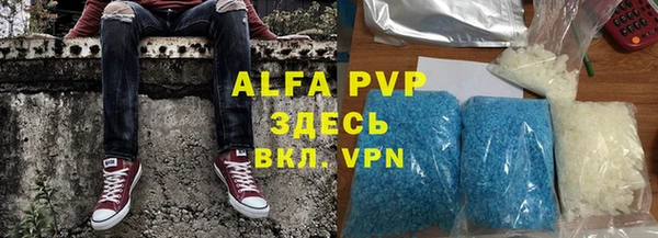 стаф Богданович