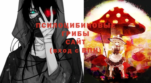 2c-b Богородицк