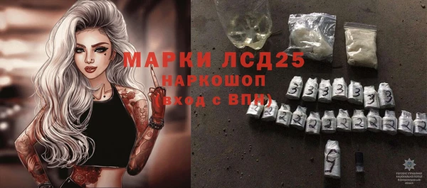 прущие грибы Богородск