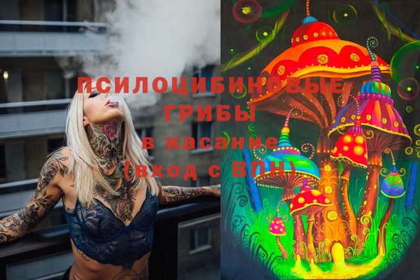 стаф Богданович