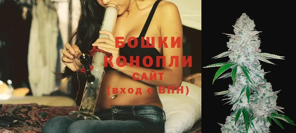 стаф Богданович