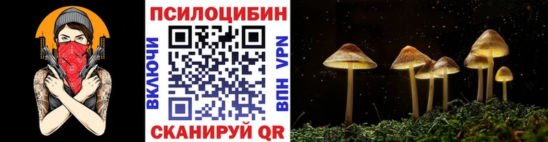 Псилоцибиновые грибы мицелий  blacksprut ссылка  Александровское 